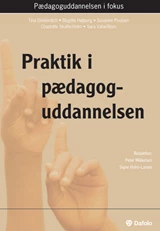 Praktik i pædagoguddannelsen E-bog